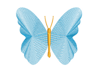 Butterfly Contour Embroidery Design - sproutembroiderydesigns