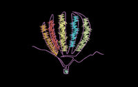 Colorful Sketch Hot Air Balloon Machine Embroidery Design