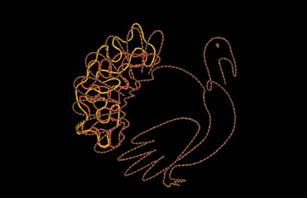 Scribble Turkey Thanksgiving Machine Embroidery Design - sproutembroiderydesigns