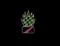 Cactus Embroidery Design, 5 Designs, Cactus collection Embroidery Design, Quick Stitch, PES, VIP, DST, vp3, pcs + more, Style 4 - sproutembroiderydesigns