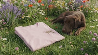 Flower Dog Machine Embroidery Design, Dog Embroidery Design