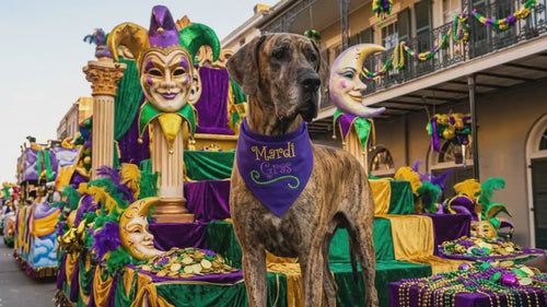 Mardi Gras Bead Flourish Machine Embroidery Design